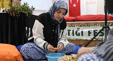 Osmaniye'de üniversiteli kızlar fıstık kırma yarışmasında kıyasıya mücadele etti