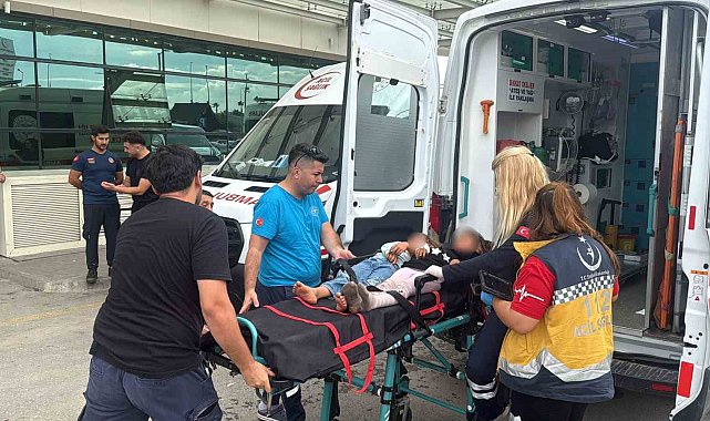 Otoyolda minibüs ve 2 tırın karıştığı kazada 11 kişi yaralandı