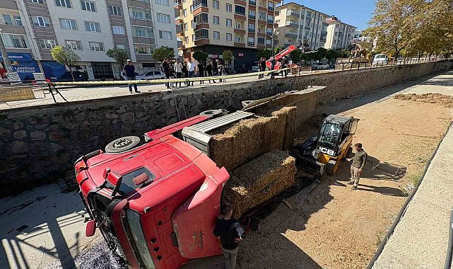 Park halindeyken hareket eden tır çaya uçtu