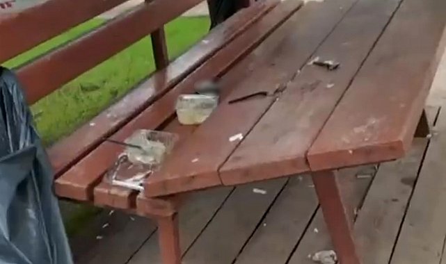 Parka zarar veren vandallara, vatandaş böyle tepki gösterdi