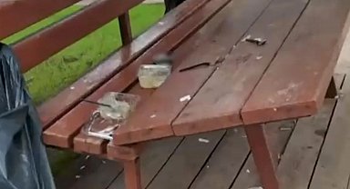 Parka zarar veren vandallara, vatandaş böyle tepki gösterdi