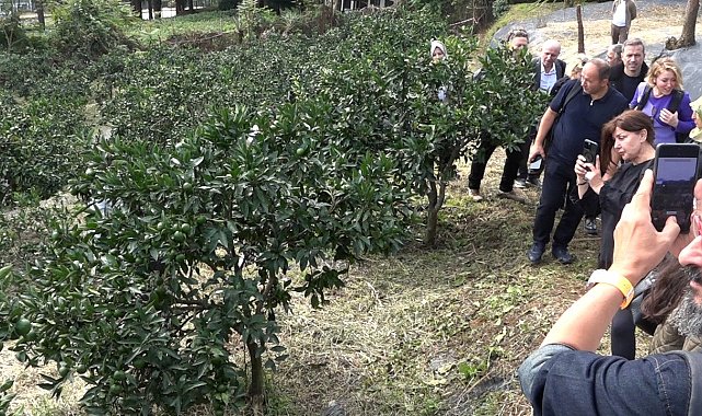 Rize gastronomisi sofradan sağlığa yeni bir hikâye yazıyor