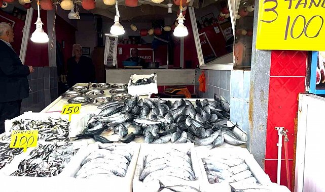 Rize'de palamutun 3 tanesi 100 TL'den satılıyor