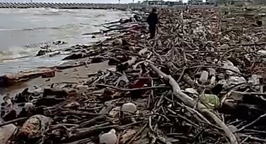 Sağanak sonrası Sakarya Nehri'nden sürüklenen dal ve çalılar sahile vurdu
