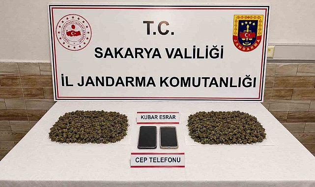 Sakarya'da jandarmadan torbacılara operasyon: 3 tutuklama