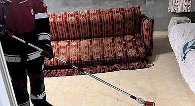 Samandağ'da yerleşim yerinde görülen yılan yakalanarak doğaya bırakıldı