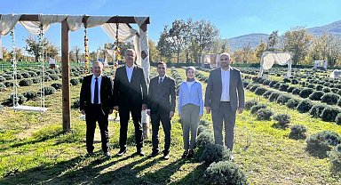 Samsun'da kadın üretici lavanta yetiştiriciliğiyle tarımsal çeşitliliğe katkı sağlıyor