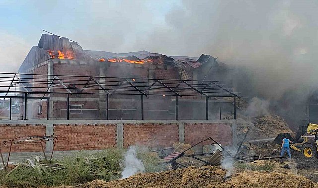 Samsun'da kaynak kıvılcımı samanlığı yaktı