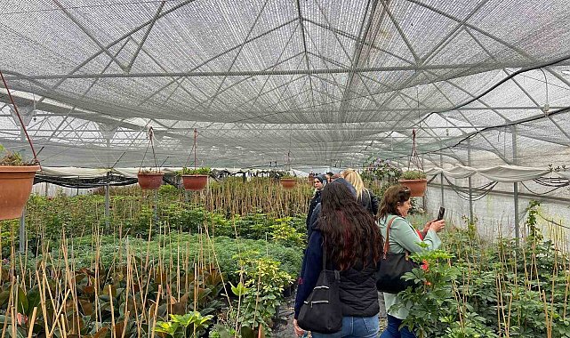 Samsun'da üreticiler modern tarımı yerinde öğreniyor