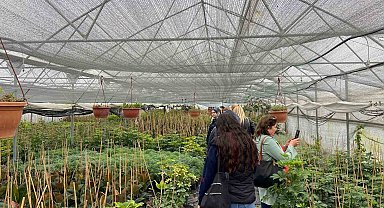 Samsun'da üreticiler modern tarımı yerinde öğreniyor