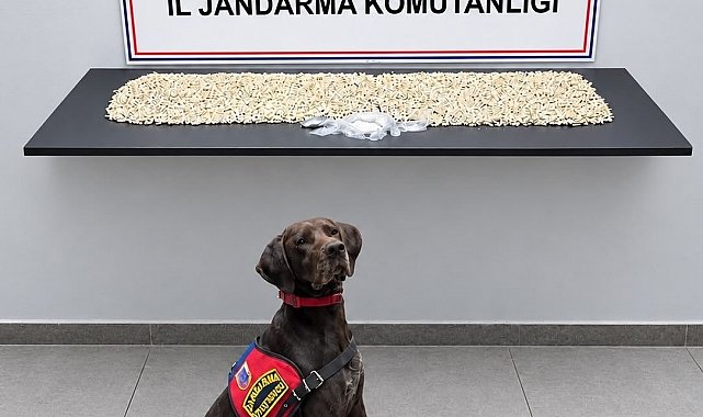 Şanlıurfa'da 14 bin 410 Captagon ele geçirildi