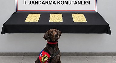 Şanlıurfa'da 2 bin 970 Captagon hap ele geçirildi
