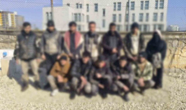 Şanlıurfa'da 68 kaçak göçmen yakalandı