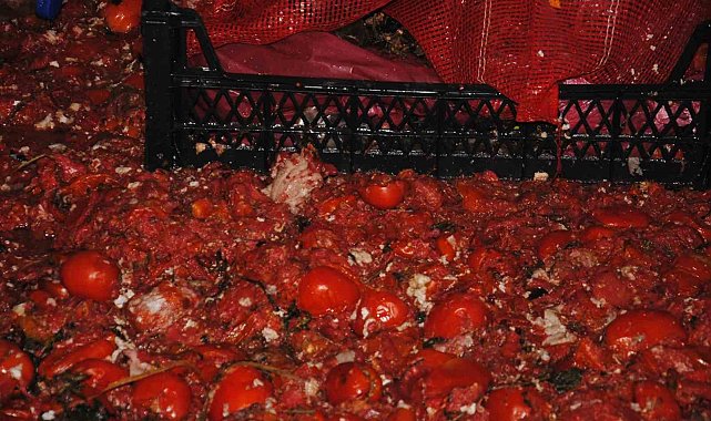 Şanlıurfa'da mide bulandıran görüntüler: Çürük domates ve küflü salça tespit edildi