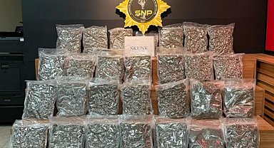 Şanlıurfa'da yolcu otobüsünde 16 kilo 400 gram skunk ele geçirildi
