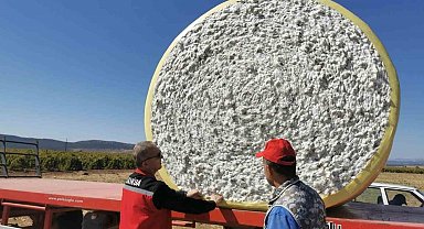Saruhanlı'da beyaz altın mesaisi başladı