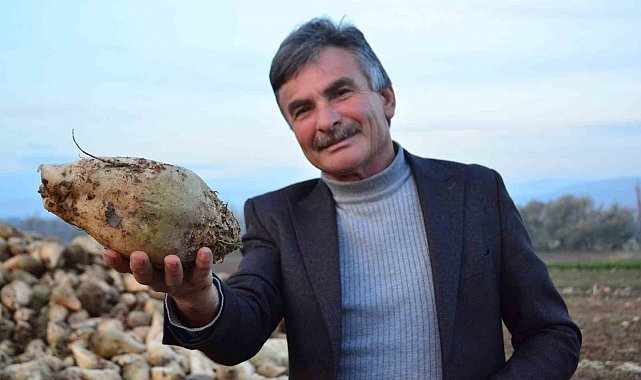 Şeker pancarı üreticisinin sözleri sosyal medyada gündem oldu: "'Ben kazanmıyorum' diyen çiftçiler külliyen yalan söylüyor"