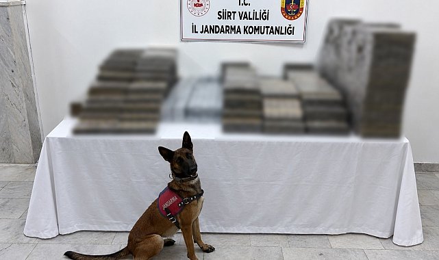 Siirt'te kömür çuvallarının arasına gizlenmiş 10 bin 250 paket kaçak sigara ele geçirildi