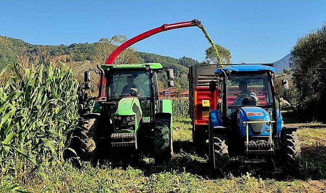 Silajlık mısır hasadı üreticinin yüzünü güldürdü