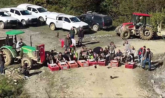 Sinop'ta 550 sülün doğaya salındı
