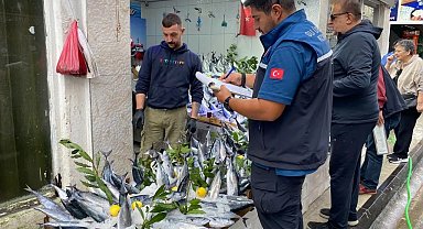 Sinop'ta balık satış yerleri denetlendi