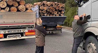 Sinop'ta orman ekipleri yasa dışı faaliyetlere karşı teyakkuzda