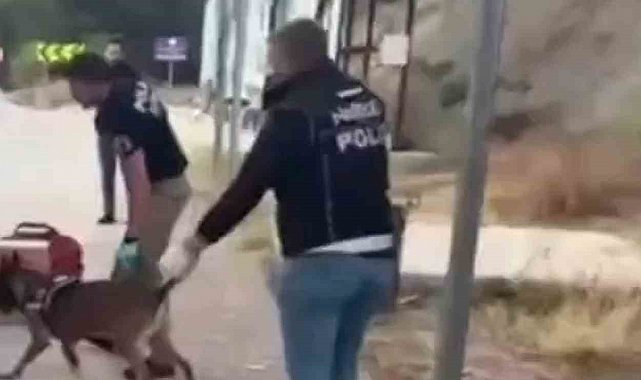 Sinop'ta uyuşturucu operasyonu: 3 tutuklama