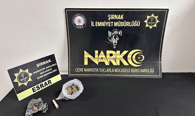 Şırnak'ta emniyet ekiplerinden asayiş, kaçakçılık ve narkotik operasyonu: 17 tutuklama