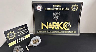 Şırnak'ta emniyet ekiplerinden asayiş, kaçakçılık ve narkotik operasyonu: 17 tutuklama