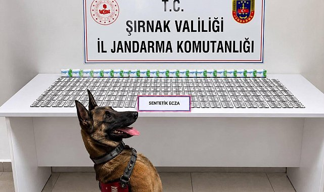 Şırnak'ta jandarmadan uyuşturucu ve aranan şahıslara operasyon: 12 tutuklama