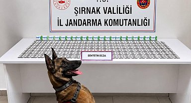Şırnak'ta jandarmadan uyuşturucu ve aranan şahıslara operasyon: 12 tutuklama