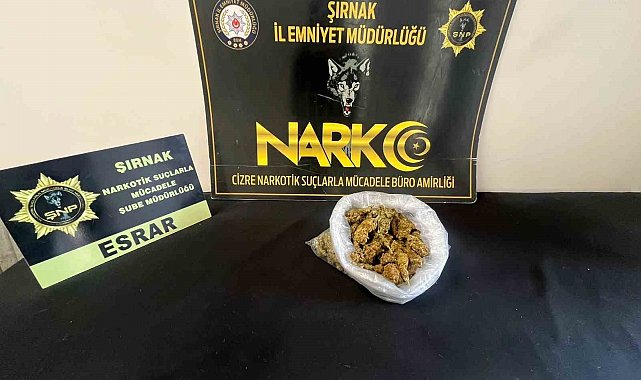 Şırnak'ta narkotik ve asayiş operasyonları: 104 şüpheli yakalandı, 9'u tutuklandı