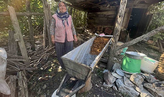 Sırrı meşe külünde saklı