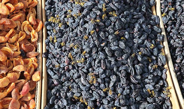 Sivas'ta yaban arıları tezgahların davetsiz misafirleri oldu