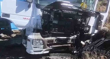 Siverek'te kontrolden çıkan tırın sürücüsü yaralandı