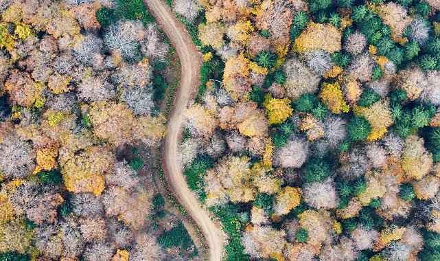 Sonbaharın renkleri rotayı değiştirdi: 2 bin metreye çıktılar