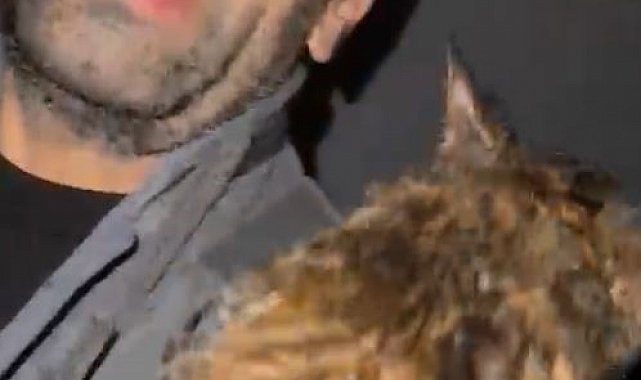 Su dolan okul lojmanından gelen sesi duydu, kediyi kurtarmak için içeri girdi