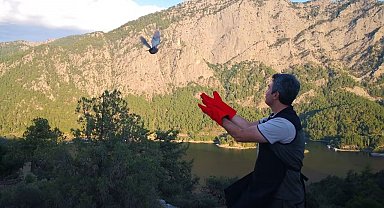 Şuhut'ta üretilen 200 çil keklik Burdur'da doğaya salındı