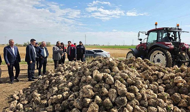 Sultanhanı'nda şeker pancarı hasadı başladı