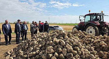 Sultanhanı'nda şeker pancarı hasadı başladı