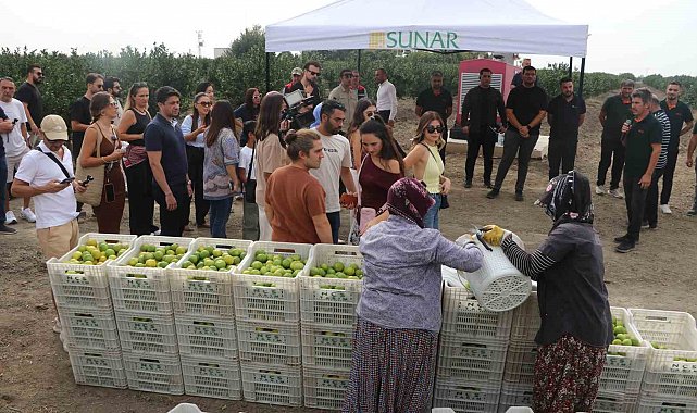 Sunar Yatırım'dan Lezzet Festivali kapsamında hasat etkinliği