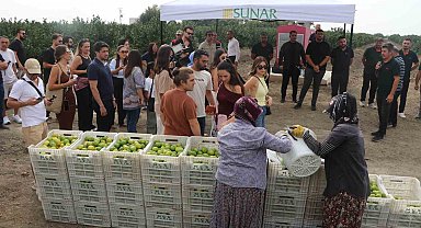 Sunar Yatırım'dan Lezzet Festivali kapsamında hasat etkinliği