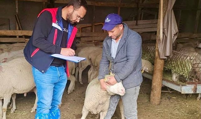 Sürdürülebilir Koyun Projesi çerçevesinde işletme denetimleri sürüyor