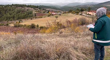Tavşanlı'da ürün beyanları sahada denetleniyor