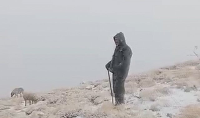 Tunceli'de yüksek kesimlere kar yağdı: Koyunlar karlar altında otladı