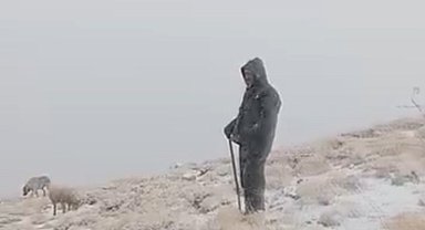 Tunceli'de yüksek kesimlere kar yağdı: Koyunlar karlar altında otladı