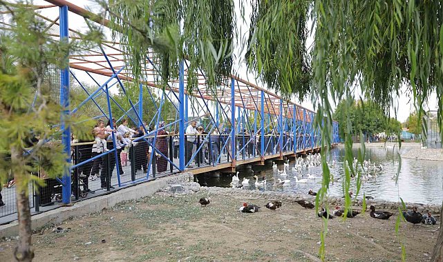 Ücretsiz hayvanat bahçesi uygulamasına yoğun ilgi