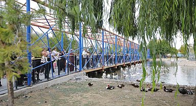 Ücretsiz hayvanat bahçesi uygulamasına yoğun ilgi