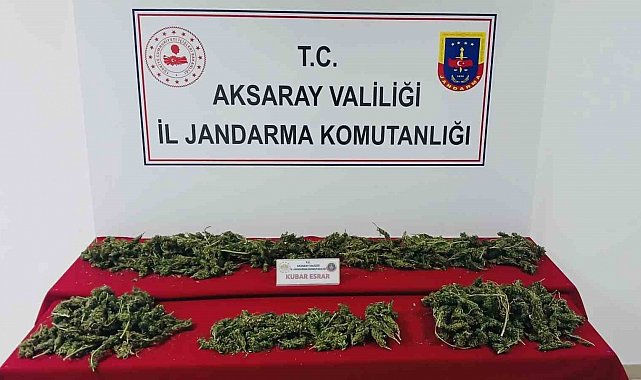 Uyuşturucu imal ve ticaretine jandarma darbesi: 3 tutuklama