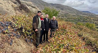 Üzümlü Kaymakamı Hökelekli üzüm bağında incelemelerde bulundu